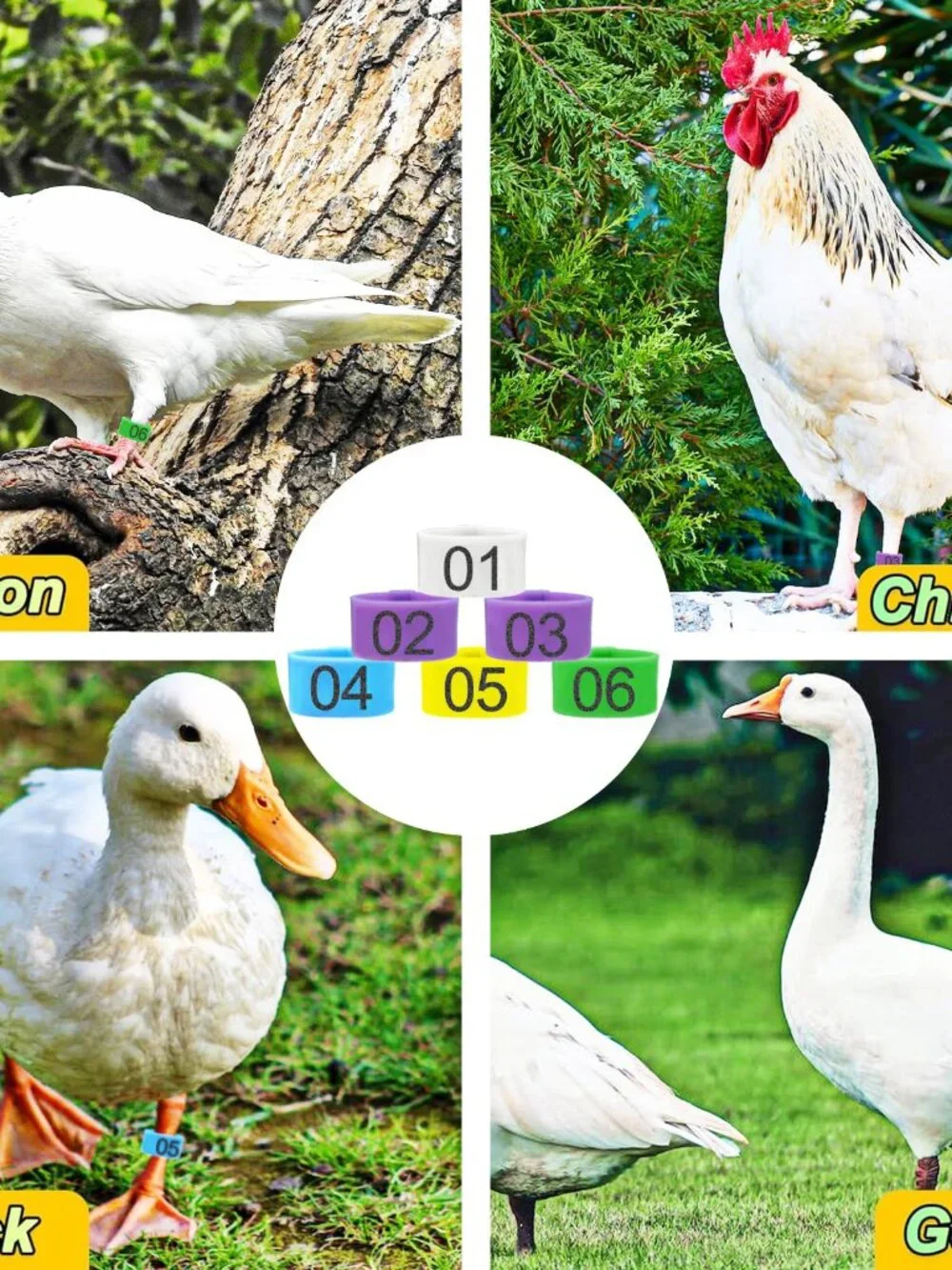 108 Pcs 8mm Bird Quail Leg Rings with 9 Color Numbered Bird Pigeons Identificati